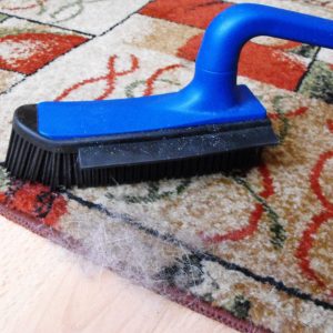 Alternative view of Szczotka Kauczukowa mała