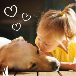 Mydlo-w-kostce-do-mycia-zwierzat-futerkowych-nie-wysusza-skory-i-siersci-pielegnuje-nawilza-niealergizuje-naturalny-sklad-oleje-roslinne-ha-ra