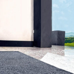 Wycieraczka-wewnetrzna-stylowa-dywanowa-z-ogromna-moca-osuszania-zbierania-wody-blota-z-obuwia-trwala-antyposlizgowa-Ha-Ra